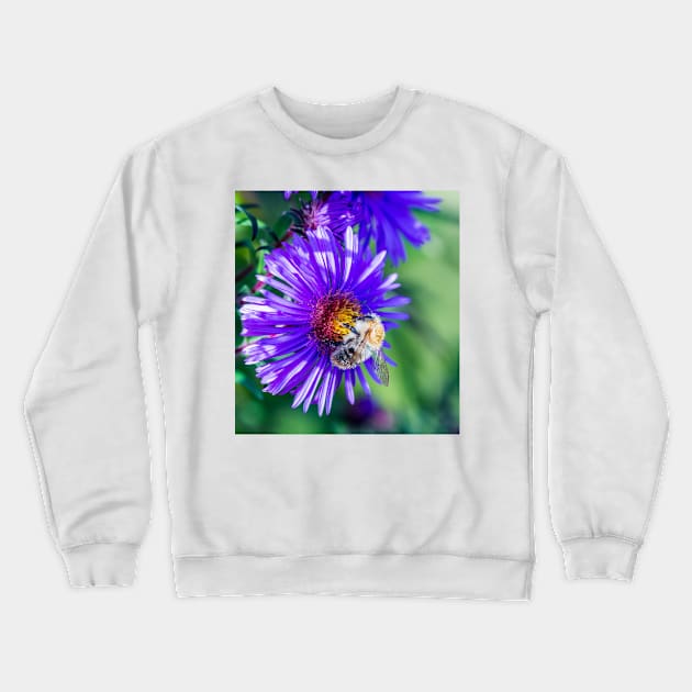 Bee 18 Crewneck Sweatshirt by mbangert